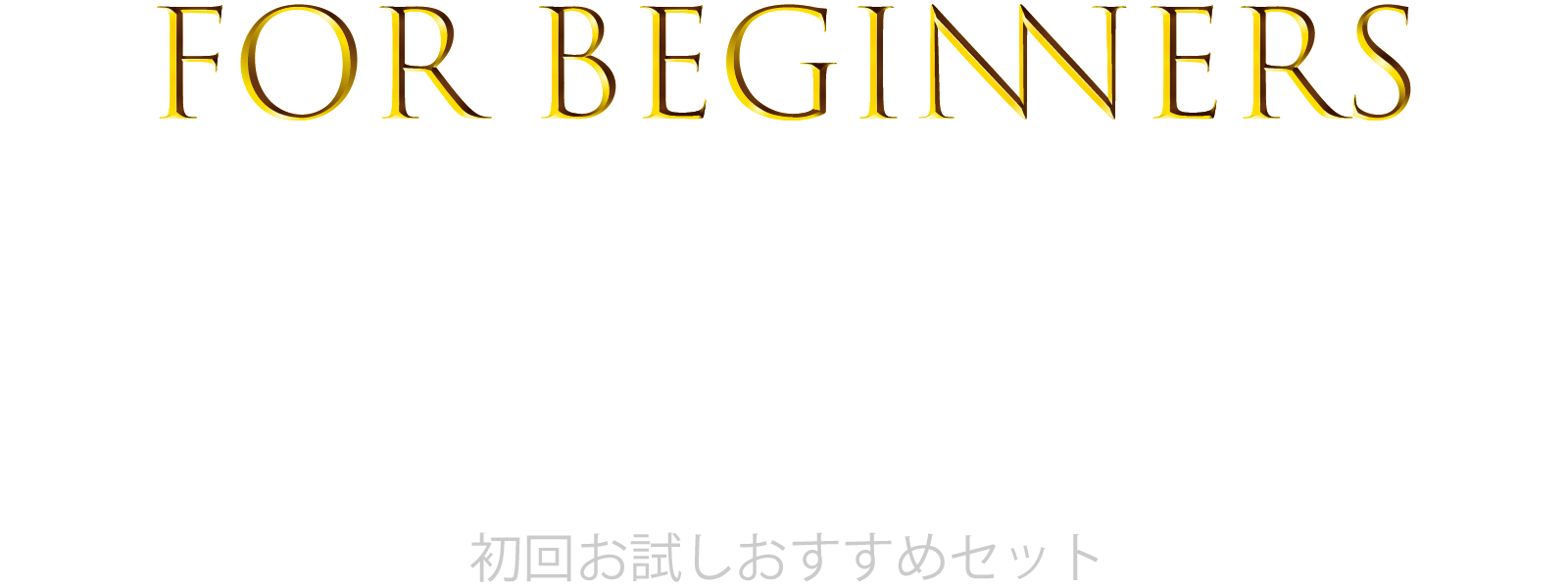 初回お試しおすすめセット